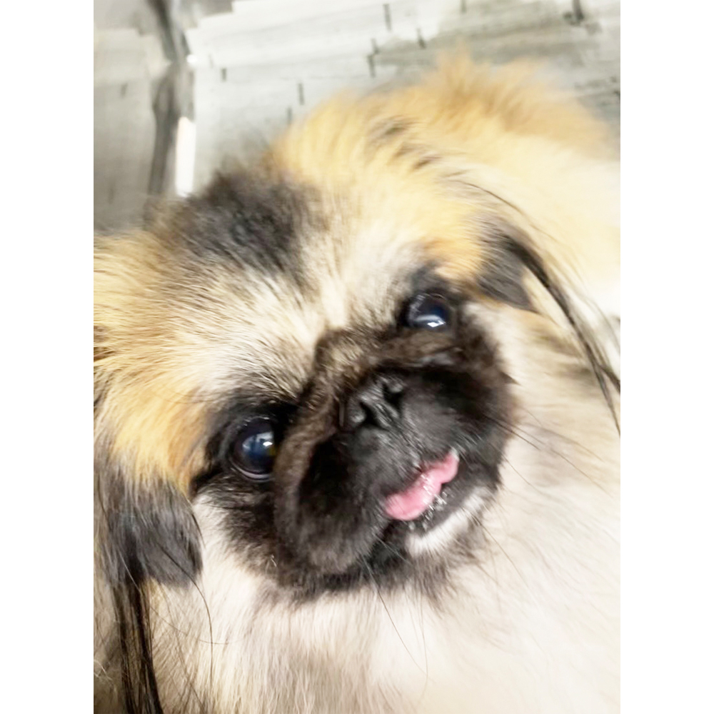 Ｗａｎ活で生徒が撮影した写真♪②